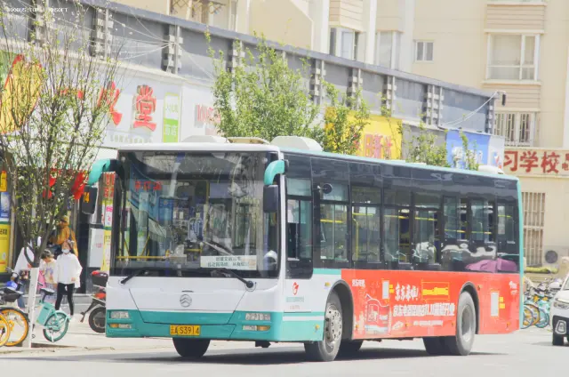 800BUS