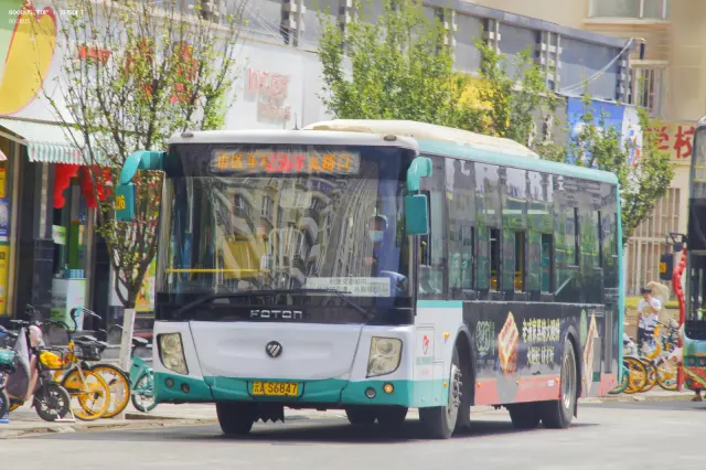 800BUS