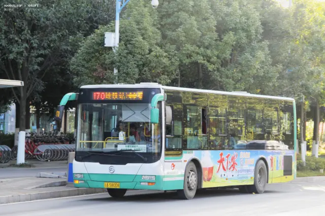 800BUS