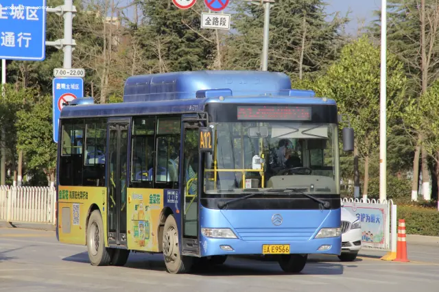 800BUS