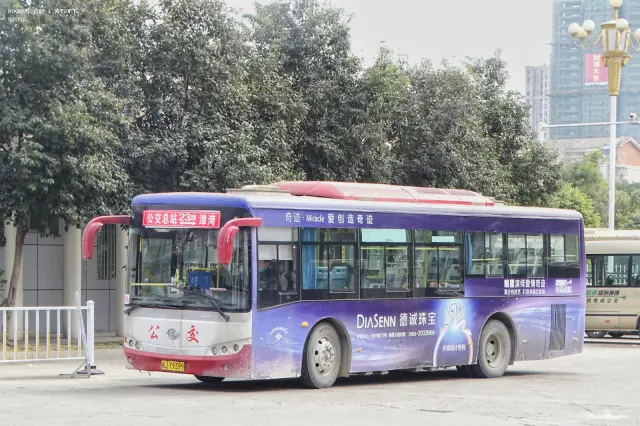 800BUS