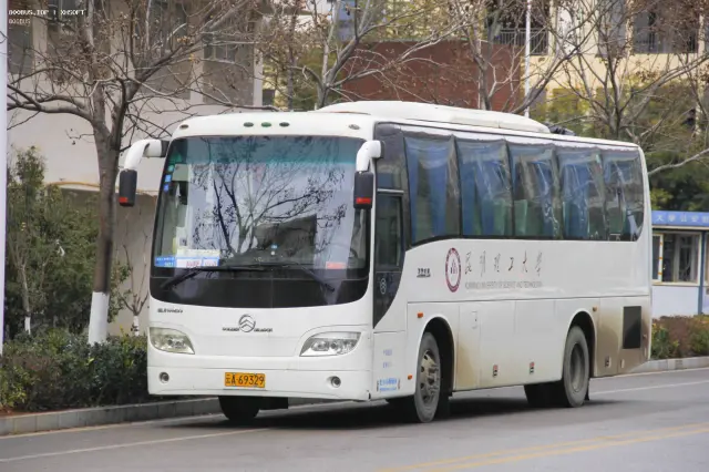 800BUS