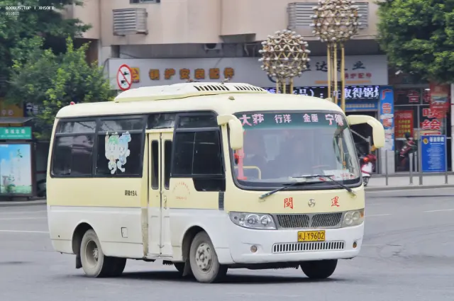 800BUS