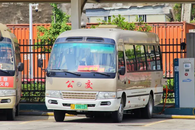800BUS