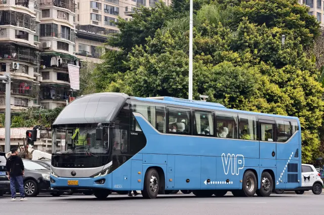 800BUS