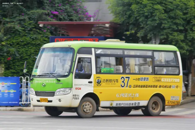 800BUS