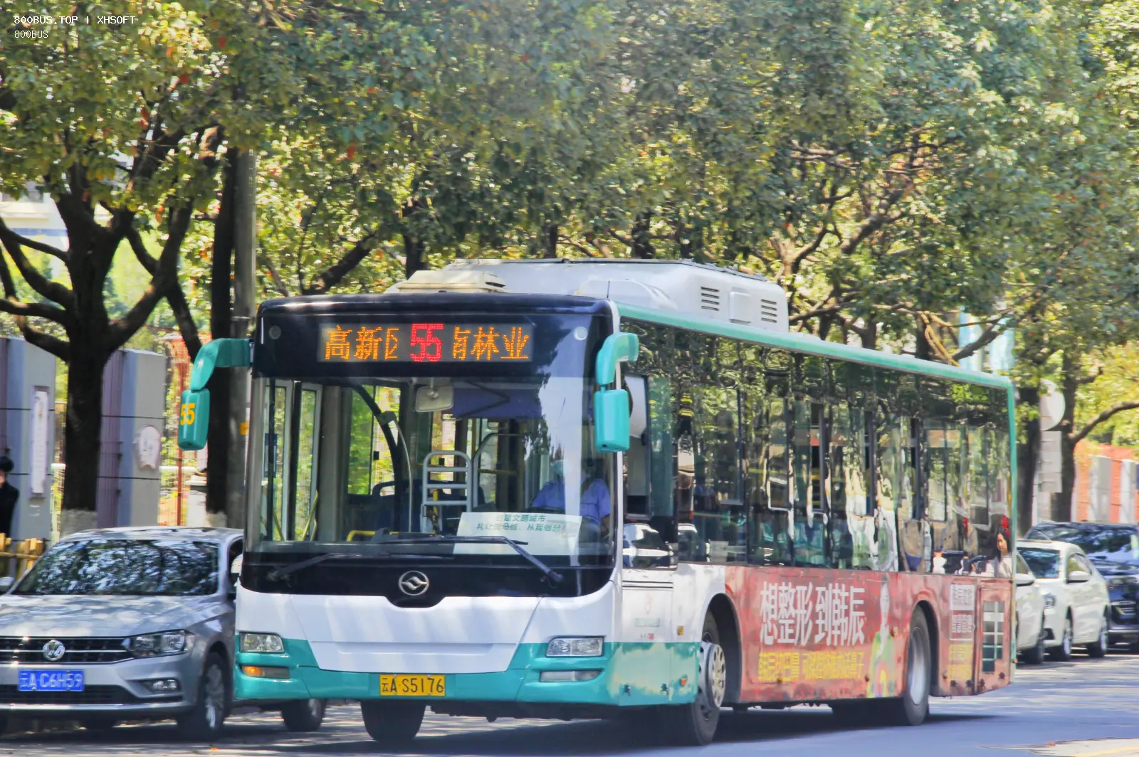 Bus Archive