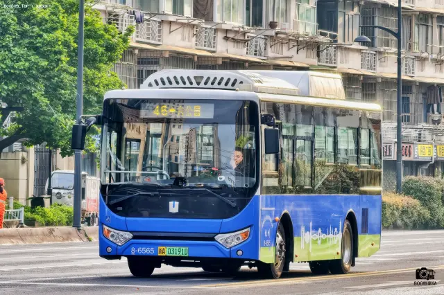 浙A 03191D