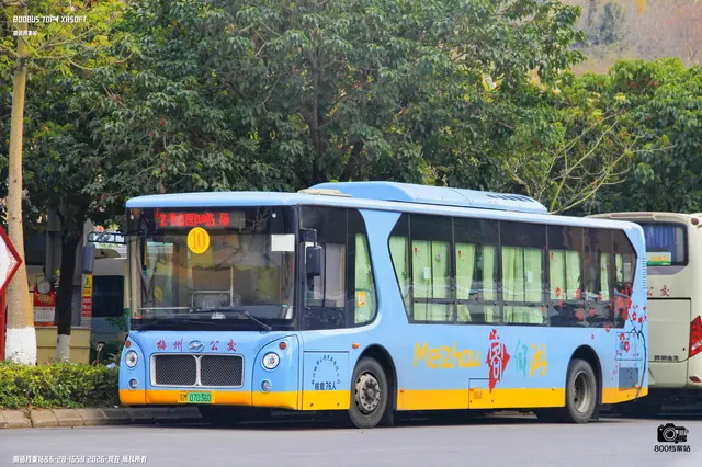 800BUS