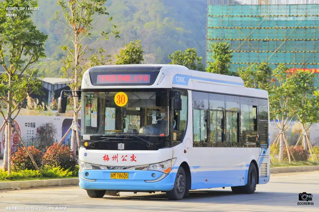 800BUS