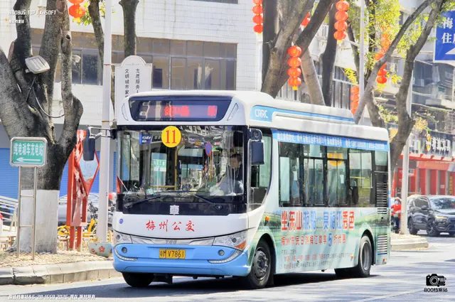 800BUS