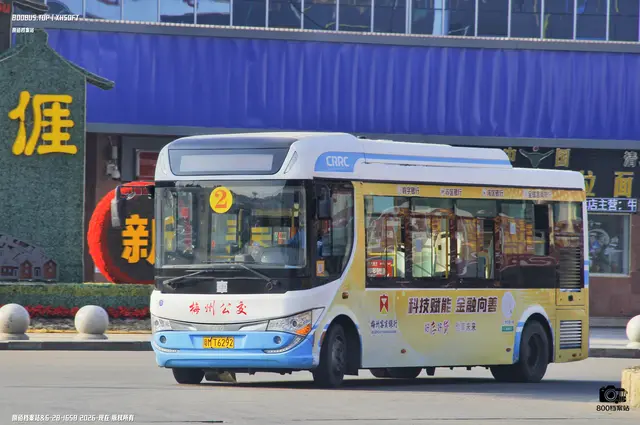 800BUS