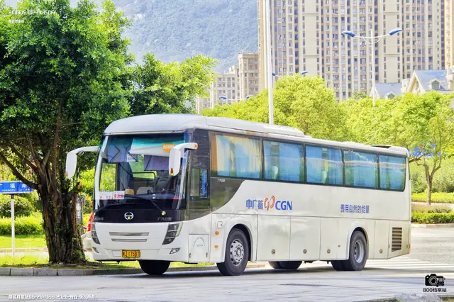 800BUS
