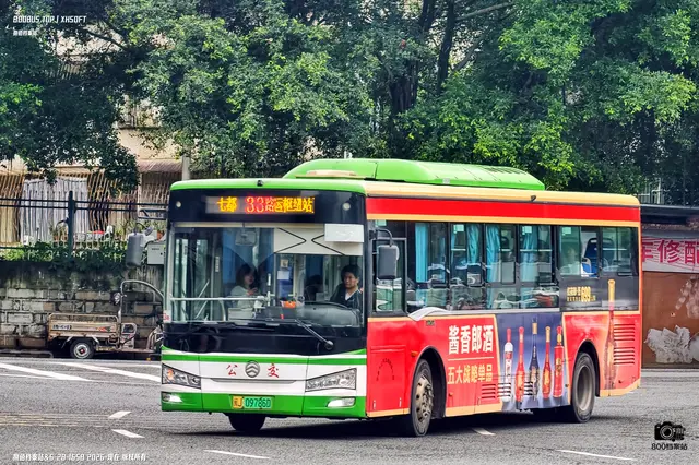 800BUS