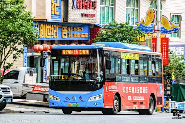 800BUS
