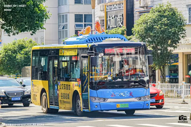800BUS
