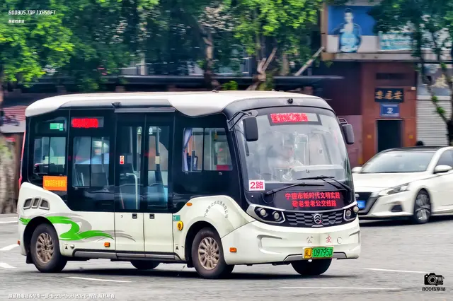 800BUS