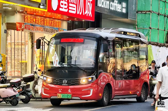 800BUS