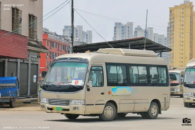 800BUS