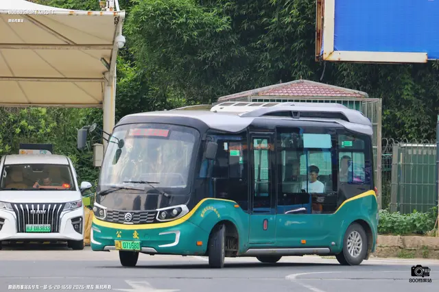 800BUS