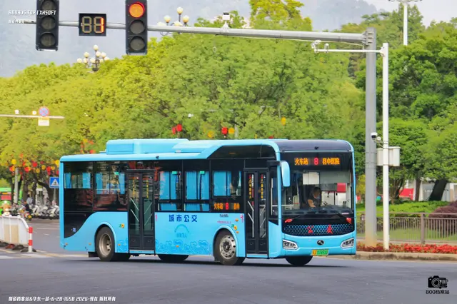 800BUS