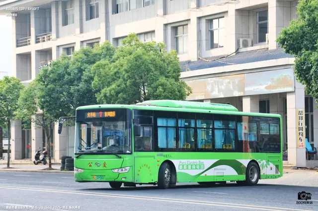 800BUS