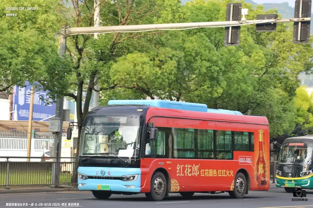 800BUS