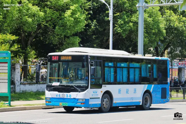 800BUS