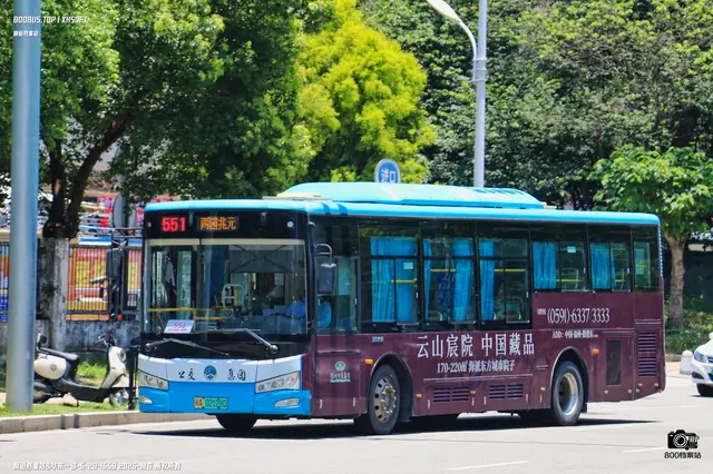 800BUS