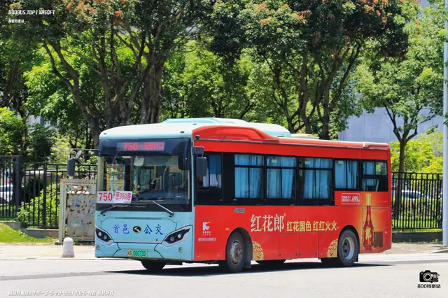 800BUS
