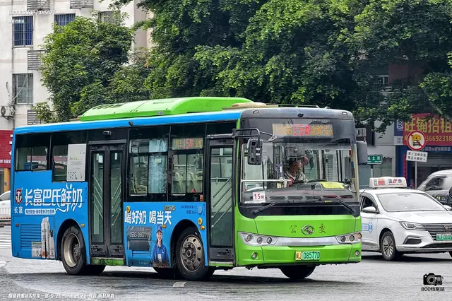 800BUS