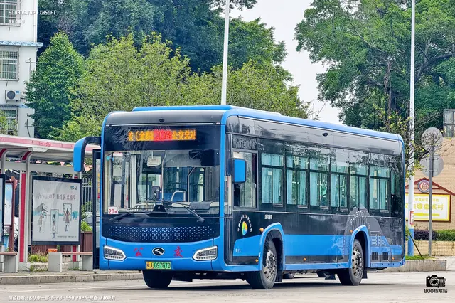 800BUS