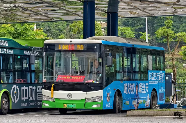 800BUS