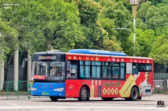 800BUS