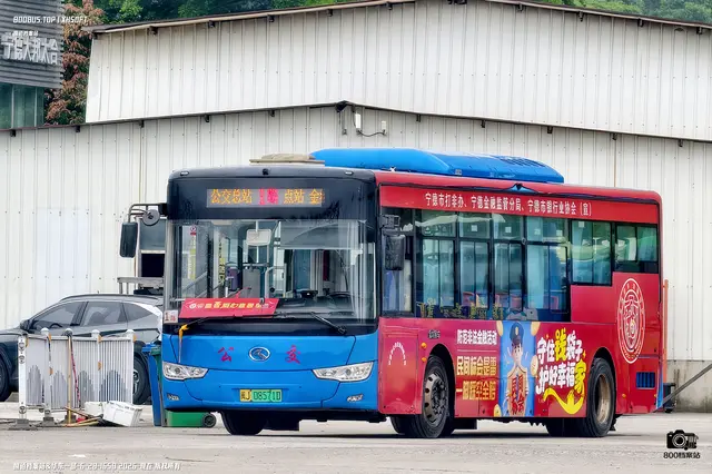 800BUS