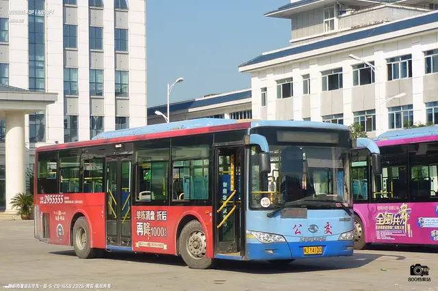 800BUS