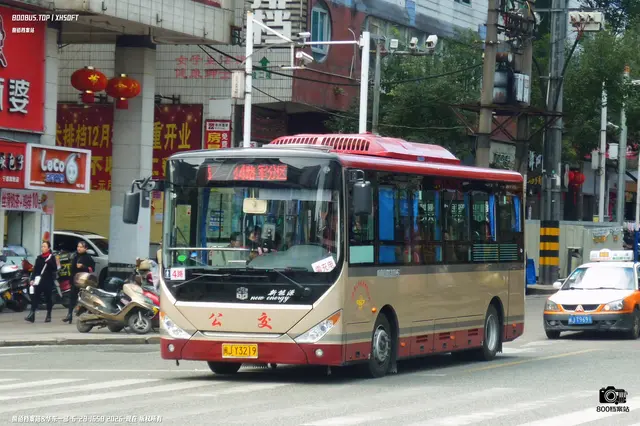 800BUS