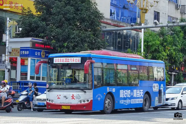 800BUS