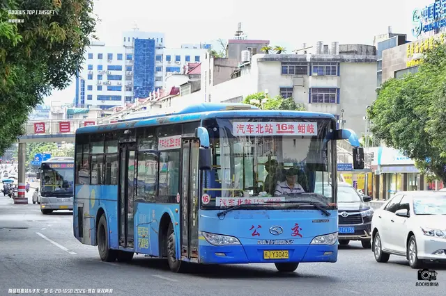 800BUS