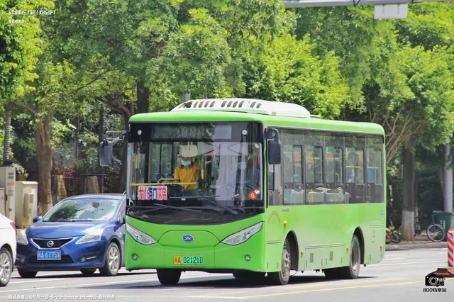 800BUS