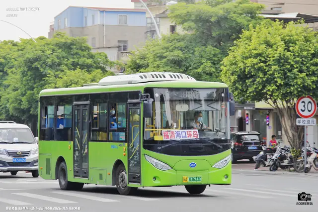 800BUS