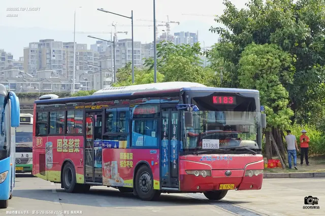 800BUS