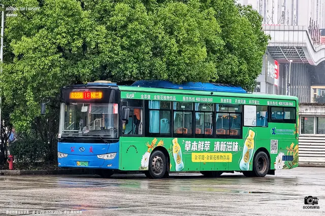 800BUS