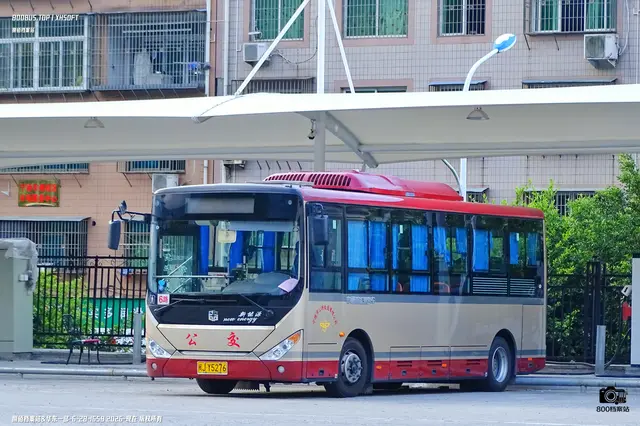 800BUS