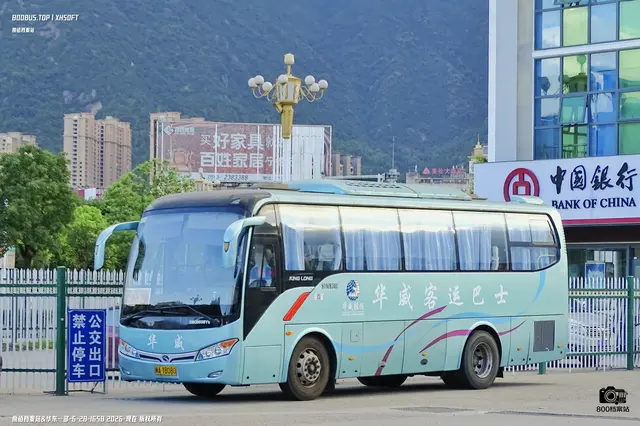 800BUS