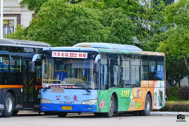 800BUS