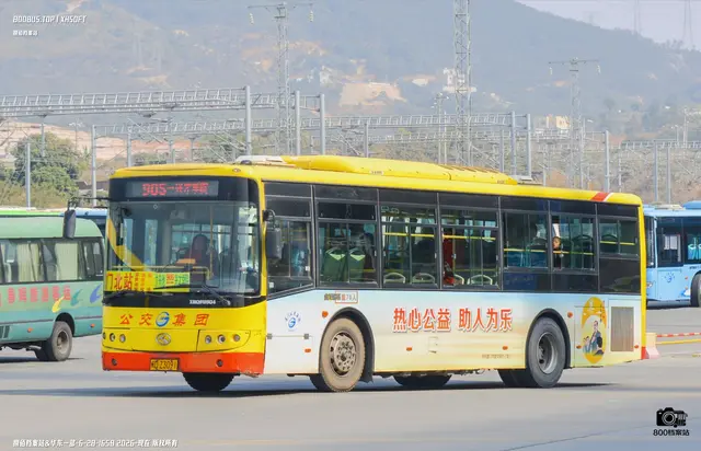 800BUS
