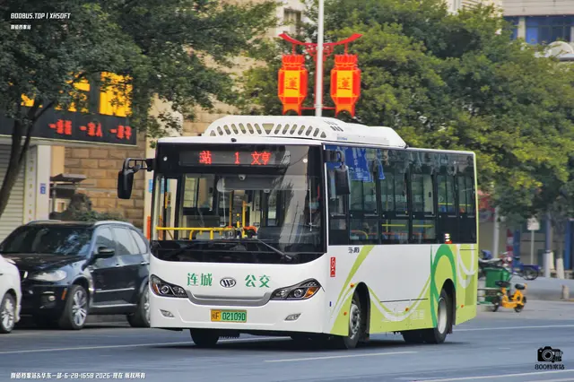 800BUS