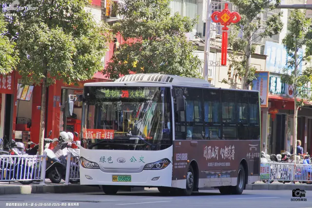 800BUS