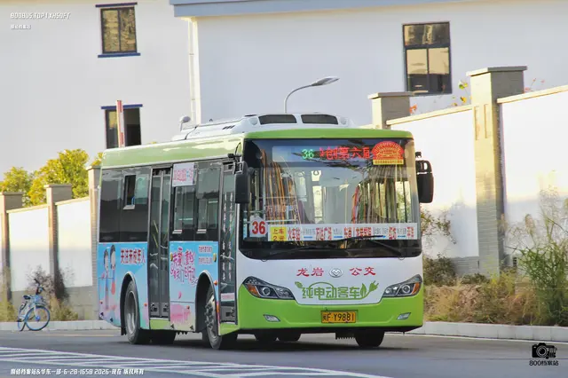 800BUS